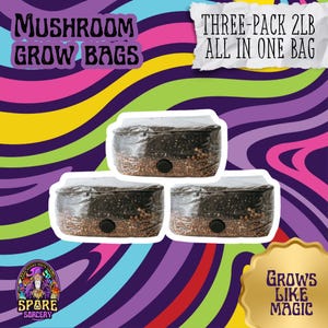 May include: Three mushroom grow bags, each in a clear plastic wrap, are displayed against a colorful, wavy background. The bags contain a dark substrate and small, light-colored grains. Text reads "Mushroom Grow Bags" and "Three-Pack 2LB All in One Bag."