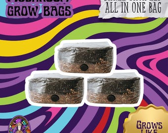 3-Pack Mushroom Grow Kit | 2LB All-In-One Bag, High Yield