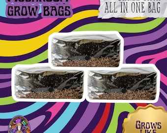 3-Pack All-in-One Mushroom Grow Kit | Easy 6 lb Bag