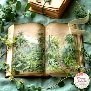 Tropical Rainforest Junk Journal Pages: Exotic Bird & Jungle Scenes (Digital Download)
