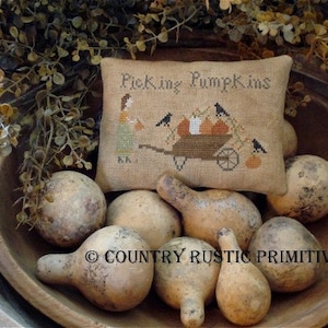 Op de afbeelding: Een bruin kussen met de tekst "Picking Pumpkins" erop geborduurd. Het kussen is omringd door pompoenen in een houten kom.