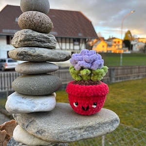 Könnte beinhalten: Eine gehäkelte Topfpflanze mit einer lila Blume und einem roten Topf mit einem fröhlichen Gesicht. Die Pflanze steht auf einem Stapel grauer Steine.
