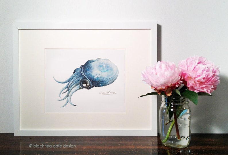 Cuttlefish Art Print, 5X7 Cuttlefish Watercolor Art Print, Cuttlefish ...