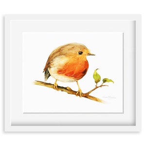 Little Robin Bird Painting Watercolor Robin Bird 8 by 10 print Watercolor Painting, Archival Print, Home Decor, Nature Art image 1