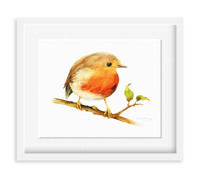 Little Robin Bird Painting Watercolor Robin Bird 8 by 10 print Watercolor Painting, Archival Print, Home Decor, Nature Art image 1