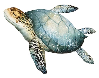 Sea turtle art print, 5X7 Sea turtle watercolor art print, Sea turtle painting, Sea turtle artwork, home decor, wall décor, Nature Art