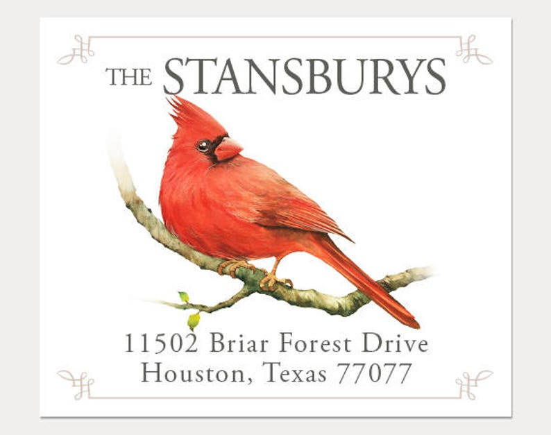 Address sticker. Set of 100 Custom Return Address Labels Self-adhesive address label Return address label Cardinal address label