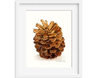Watercolor Painting - Pinecone Painting - Watercolor Pinecone - 8 by 10 print - Archival Print, Holiday Decor, Nature Art