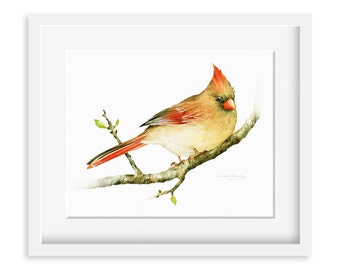 Cardinal Painting - Watercolor Cardinal - 8 by 10 print - Watercolor Painting, Archival Print, Home Decor, Nature Art