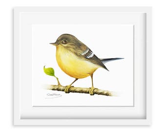 Yellow Warbler Painting - Watercolor Yellow Warbler - 8 x 10 print - Watercolor Painting, Archival Print, Home Decor, Nature Art