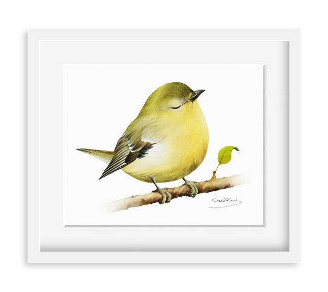 Vireo bird Painting - Watercolor Vireo bird - 8 x 10 print - Watercolor Painting, Archival Print, Home Decor, Nature Art