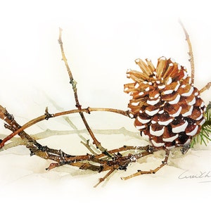 Watercolor Painting - Pine Cone with Branch Painting - Watercolor Pinecone -  5 by 7 print - Archival Print, Minimalist, Home Decor