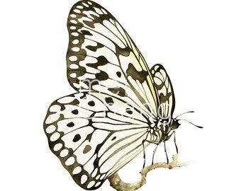 Rice Paper Butterfly art print, 5X7 butterfly watercolor art print, butterfly painting, butterfly artwork, home decor, wall décor
