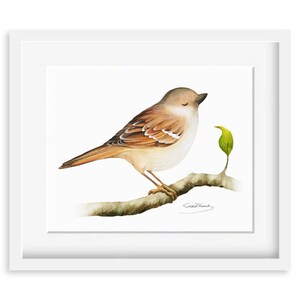 Sparrow Painting - Watercolor Sparrow - 8 x 10 print - Watercolor Painting, Archival Print, Home Decor, Nature Art