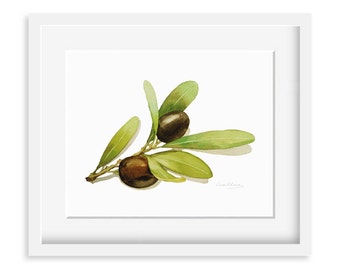 Olives Painting - Watercolor Olives -  8 by 10 print - Watercolor Painting, Archival Print, Minimalist, Home Decor, Garden Art