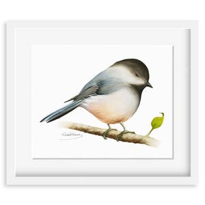 Chickadee Painting Watercolor Chickadee 8 x 10 print Watercolor Painting, Archival Print, Home Decor, Nature Art image 1