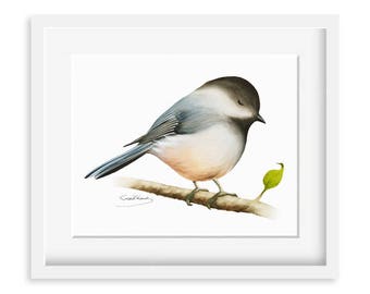 Chickadee Painting - Watercolor Chickadee - 8 x 10 print - Watercolor Painting, Archival Print, Home Decor, Nature Art