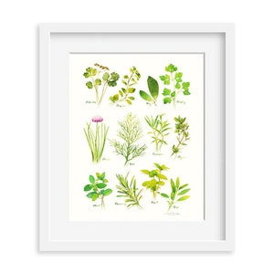 Herbs print, 8X10 Herb watercolor print, Kitchen art, Herb illustration, Art for kitchen, Culinary Herb artwork, Home décor, Wall décor
