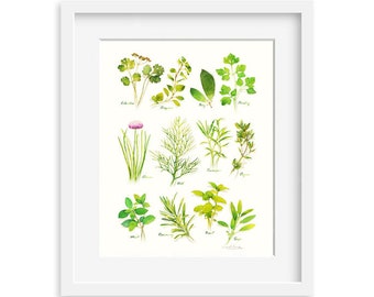 Herbs print, 8X10 Herb watercolor print, Kitchen art, Herb illustration, Art for kitchen, Culinary Herb artwork, Home décor, Wall décor