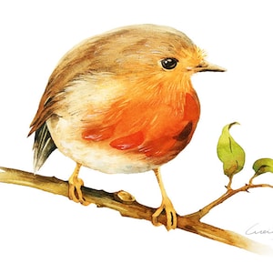 Robin Bird Painting - Watercolor Robin Bird - 5 by 7 print - Watercolor Painting, Archival Print, Minimalist, Home Decor, Nature Art
