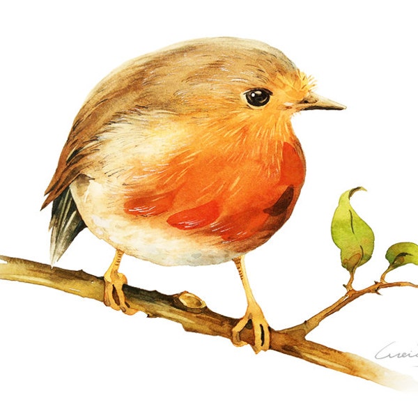 Robin Bird Painting - Acuarela Robin Bird - Impresión de 5 por 7 - Pintura de acuarela, Impresión de archivo, Minimalista, Decoración del hogar, Arte de la naturaleza