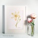 Wild Flower 8 by 10 Print Archival Print 8X10 Wild Flower - Etsy