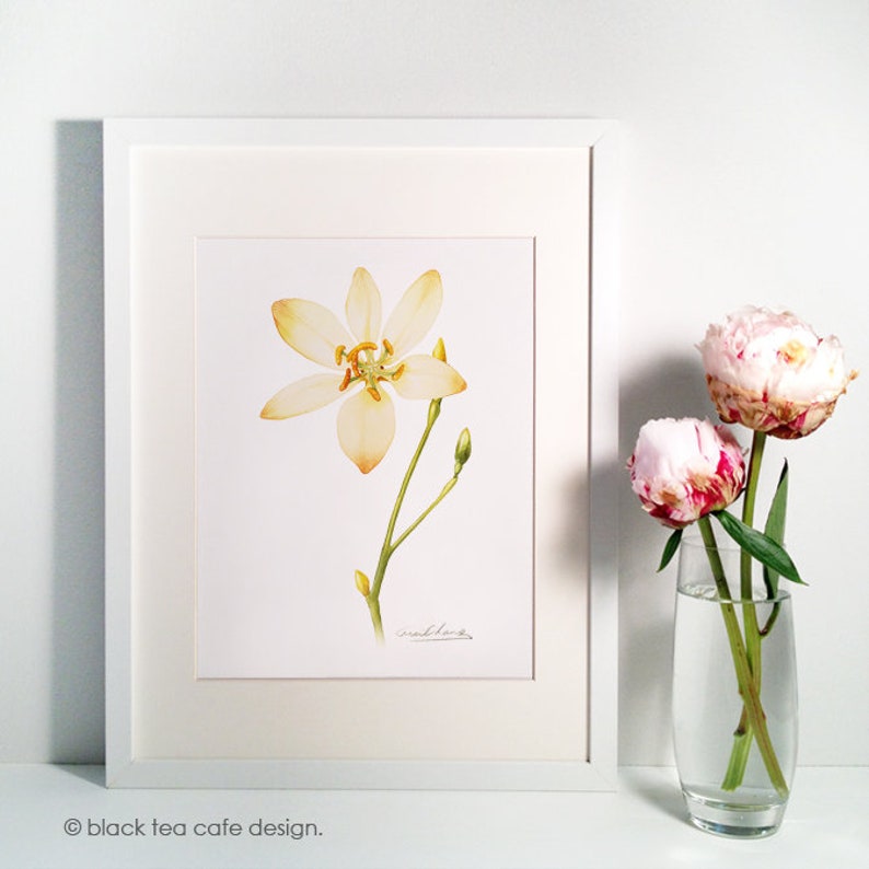 Wild Flower 8 by 10 Print Archival Print, 8X10 Wild Flower Watercolor ...