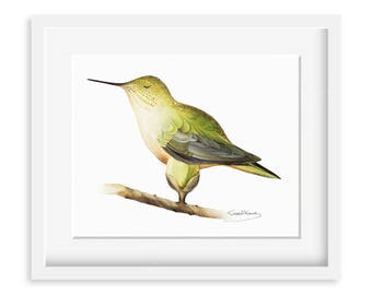 Hummingbird Painting - Watercolor Hummingbird - 8 x 10 print - Watercolor Painting, Archival Print, Home Decor, Nature Art