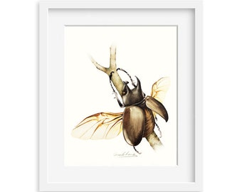 Beetle 8 by 10 print - Archival Print, 8X10 Beetle watercolor art print, Beetle artwork, home decor, wall décor, Nature Art