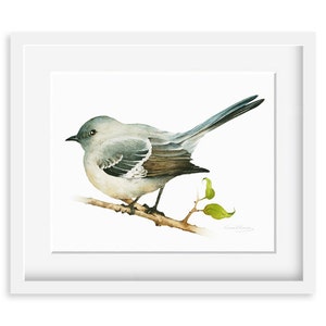Mockingbird pittura - acquerello Mockingbird - 8 da 10 stampa - pittura acquerello, stampa archivistiche, Home Decor, arte natura