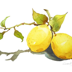 Lemon Painting - Watercolor Lemon - 5 by 7 print - Watercolor Painting, Archival Print, Minimalist, Home Decor, Garden Art