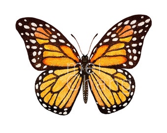 Monarch Butterfly art print, 5X7 butterfly watercolor art print, butterfly painting, butterfly artwork, home decor, wall décor, Nature Art