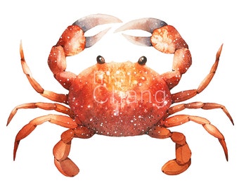 Crab art print, 5X7 Crab watercolor art print, Crab painting, Crab artwork, home decor, wall décor, Nature Art
