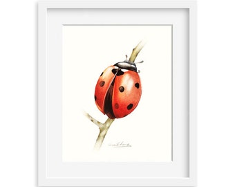 Ladybug 8 by 10 print - Archival Print, 8X10 Ladybug watercolor art print, Ladybug artwork, home decor, wall décor, Nature Art