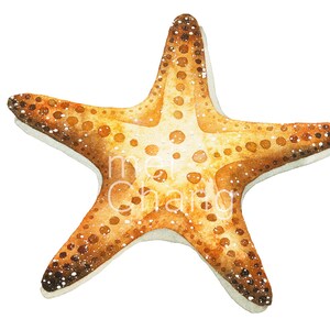 Starfish art print, 5X7 Starfish watercolor art print, Starfish painting, Starfish artwork, home decor, wall décor, Nature Art