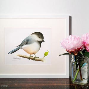 Chickadee Painting Watercolor Chickadee 8 x 10 print Watercolor Painting, Archival Print, Home Decor, Nature Art image 3