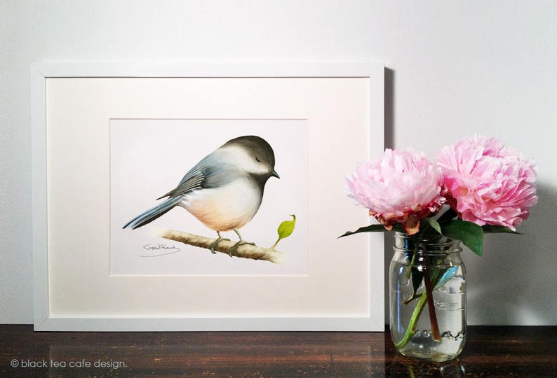 Chickadee Painting Watercolor Chickadee 8 x 10 print Watercolor Painting, Archival Print, Home Decor, Nature Art image 3