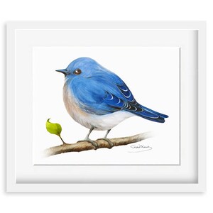 Bluebird pittura - acquerello Bluebird - stampa 8x10 - pittura acquerello, stampa archivistiche, Home Decor, arte natura