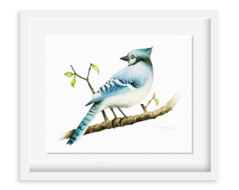 Blue jay Painting - Watercolor Blue jay - 8 by 10 print - Watercolor Painting, Archival Print, Home Decor, Nature Art