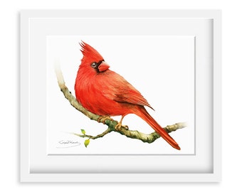 Cardinal Painting - Watercolor Cardinal - 8 x 10 print - Watercolor Painting, Archival Print, Home Decor, Nature Art