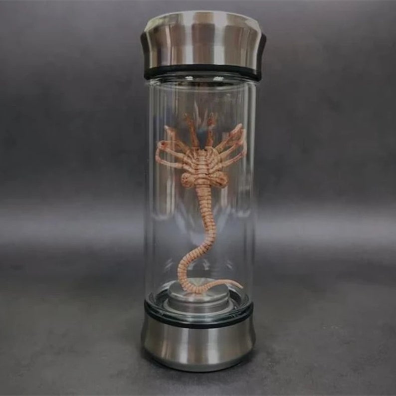 Alien Facehugger Larva in a Glowing Glass Vial in the Movie Etsy
