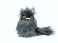 The Cat