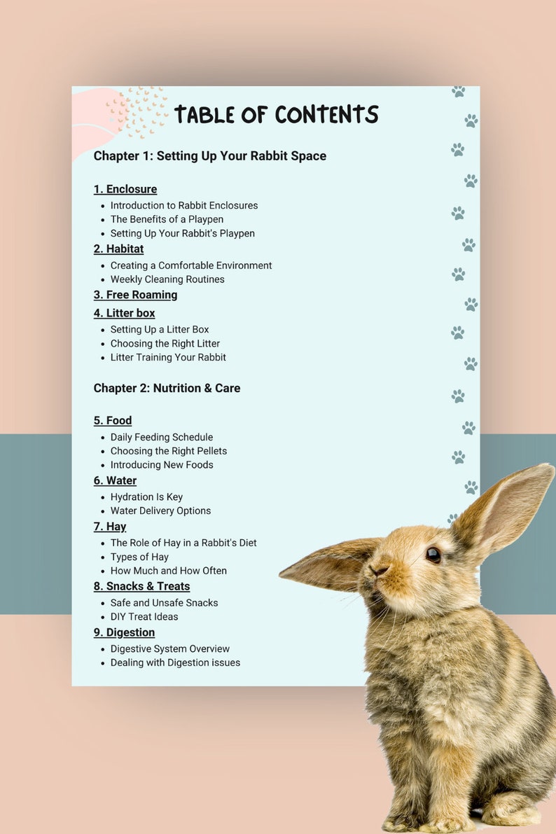 Ultimate House Rabbit Care GUIDE Ebook + CHECKLISTS: New Bunny Mom ...