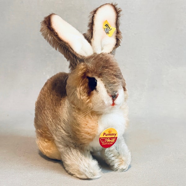 Steiff's Pummy Rabbit. He is about 5" tall, and still has his tag, an ear button, and his original box, made in Germany around 1960s