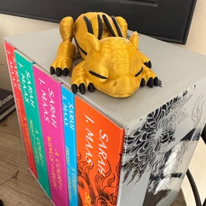 Sleeping dragon