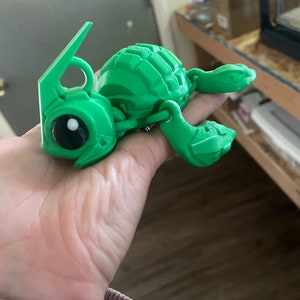 grenade turtle