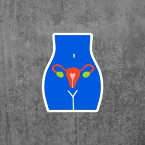 Women&#39;s Reproductive System Sticker | Educational Decal for Health, Science, Gifts, Feminism, Empowerment, Blue, Uterus, Sex Ed, Cute, Vinyl