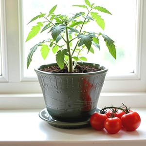 Handmade Green Ceramic Planter | Versatile Stoneware Pot for Indoor and Outdoor Gardens