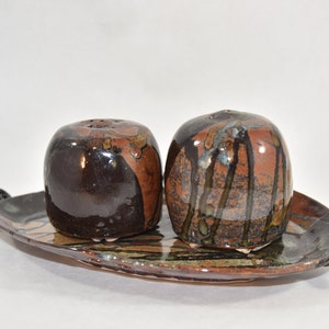 Ceramic Salt and Pepper Shakers on Tray in Rich Browns and Tans image 1