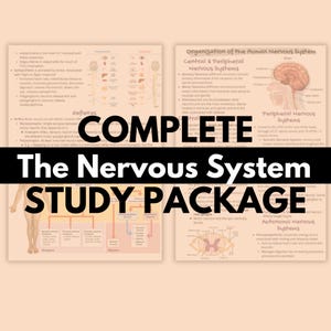 6 Pages MCAT Biology Chapter 4 - The Nervous System (Study Notes) | Medical School Notes | Premed Study Notes | Anatomy and Physiology |
